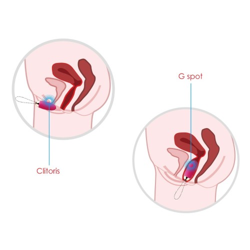 Ovetto vibrante remoto Elva