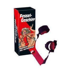 Fessel Geschirr 2