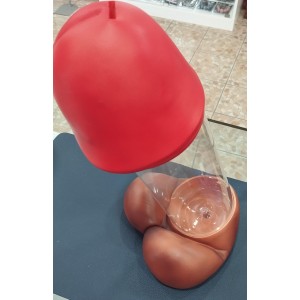 Salvadanaio Pene Maxi