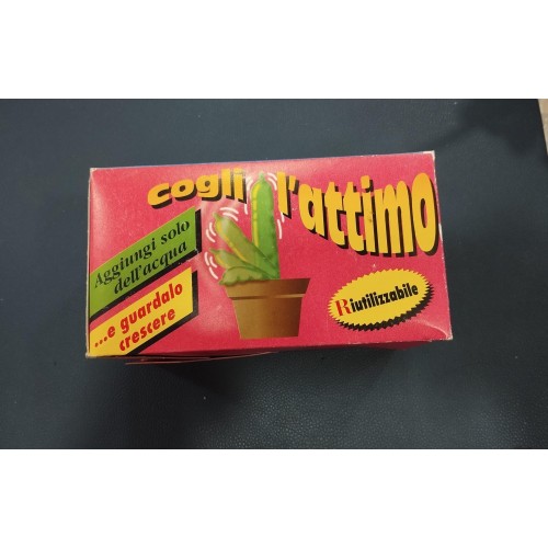 Piantina " Cogli l'attimo "