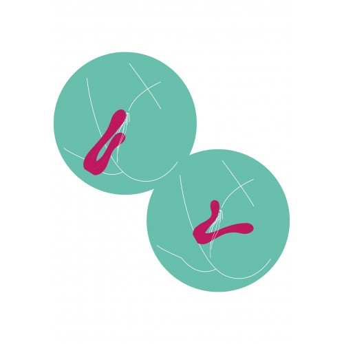 Stimolatore Vaginale/clitorideo a...