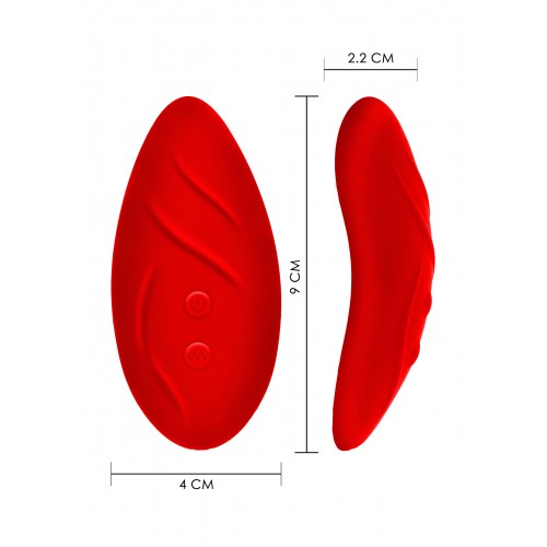 slip di pizzo rosso, uno stimolatore...