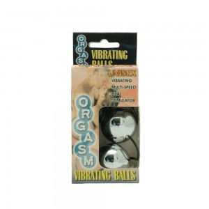 Vibrating Duoballs Silver 2