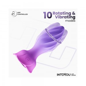 Plug Anale Vibrante e... 2