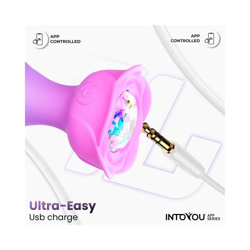 Plug Anale Vibrante e Rotante 360° + APP