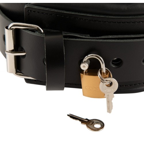 Collare professionale più guinzaglio...