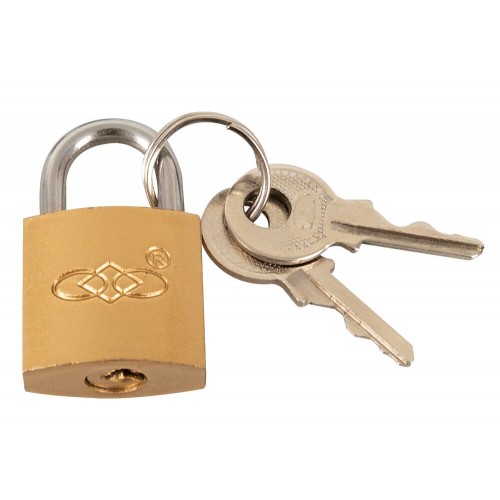 Collare professionale più guinzaglio...