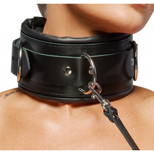 Collare professionale più guinzaglio...