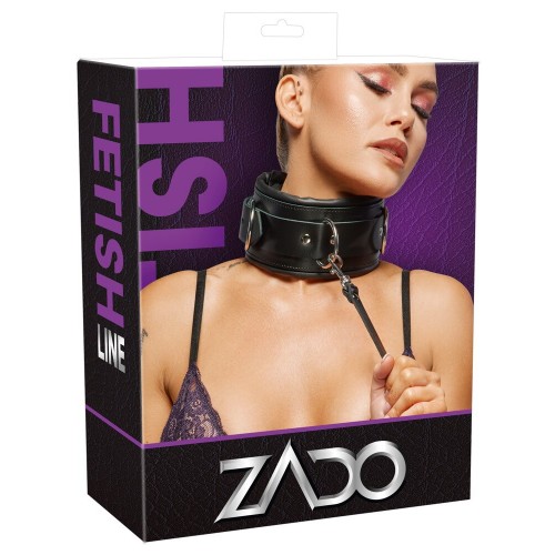 Collare professionale più guinzaglio...