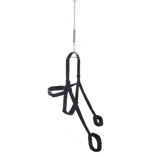 Altalena Fetish Fantasy Fantasy Swing