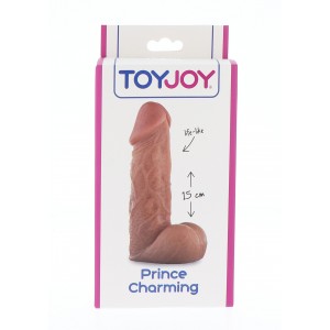 Prince Charming Dong 15 Cm 2