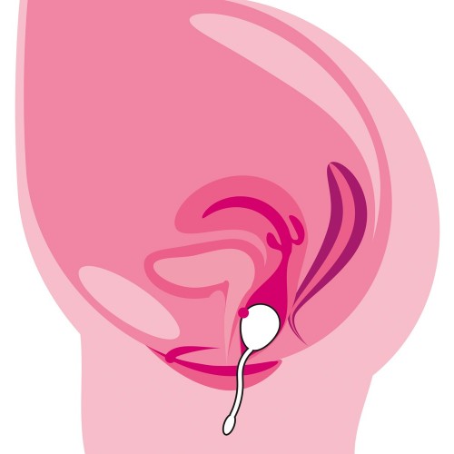 sfera vibrante remota RC Love Ball